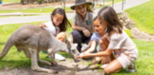 6 Nights of Exploring Queensland