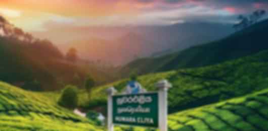 6 Nights in Sri Lanka: Colombo, Nuwara Eliya, Ella & Bentota