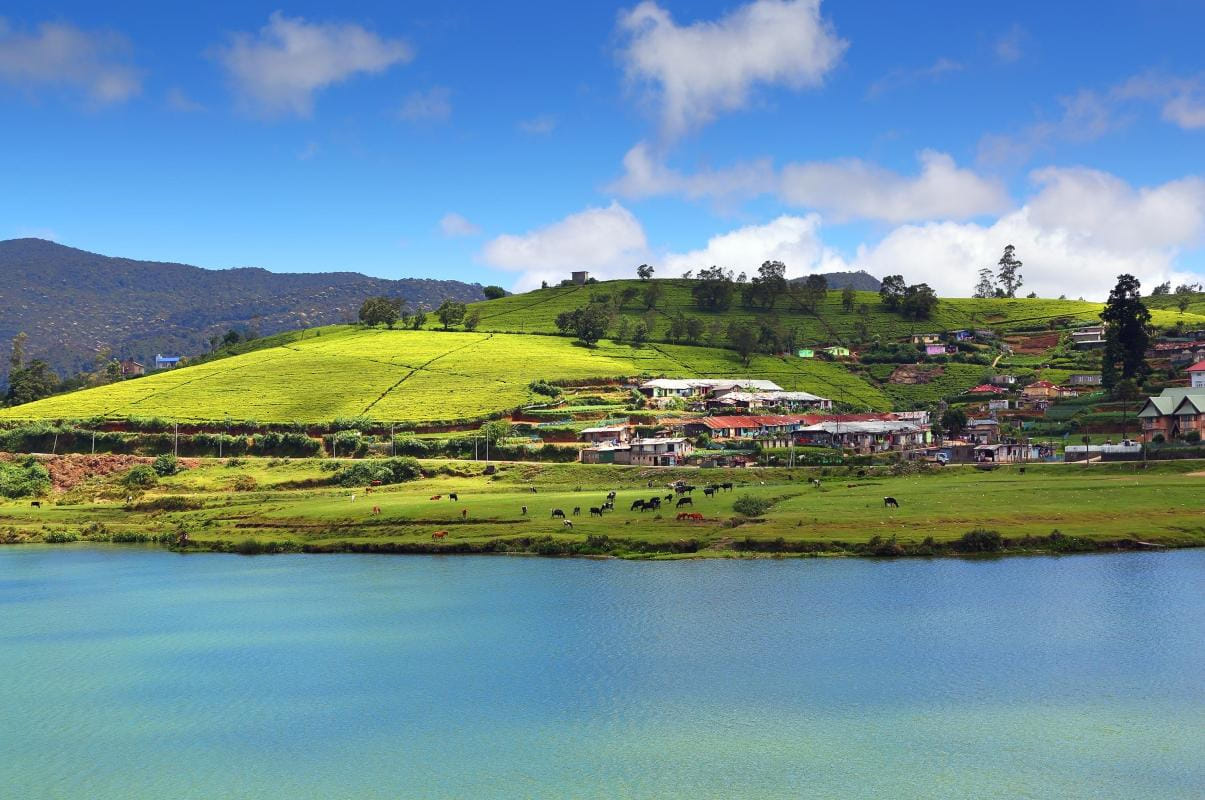 4 Nights Nuwara Eliya and Bentota | Hill Country Calm and Coastal Leisure