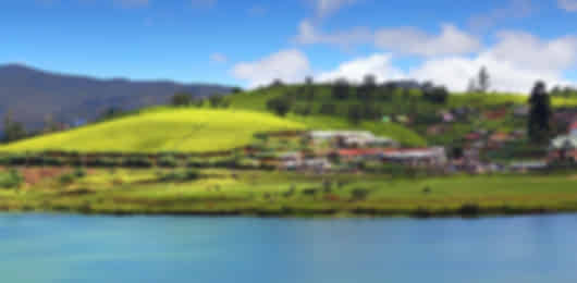 4 Nights Nuwara Eliya and Bentota | Hill Country Calm and Coastal Leisure