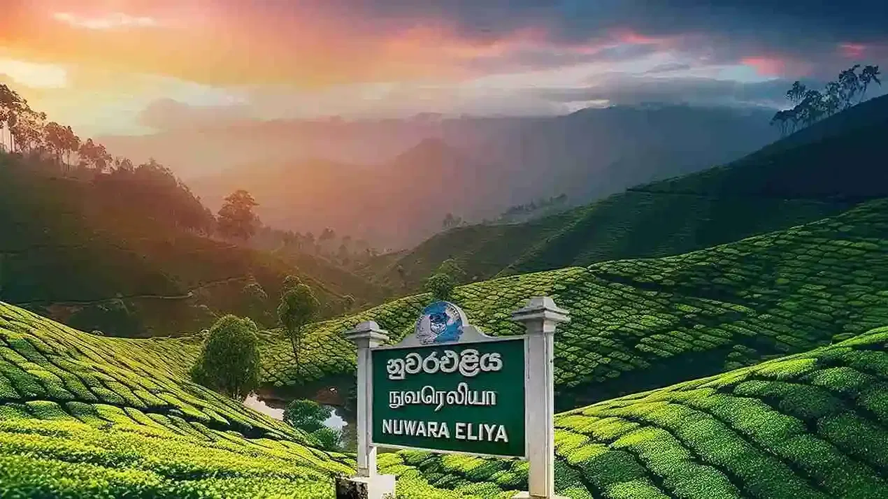 5 Nights | Kandy, Nuwara Eliya & Bentota – Highlands to Coast