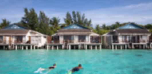 Vibrant Reef Retreat – Taj Coral Reef Maldives