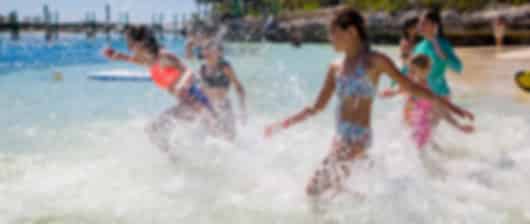 11 Days Honeymoon Trip in Florida