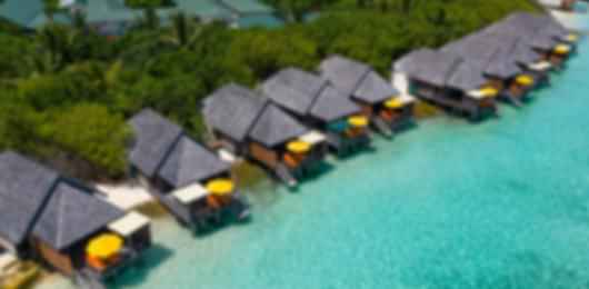 Secluded Paradise: Dhigufaru Island Resort