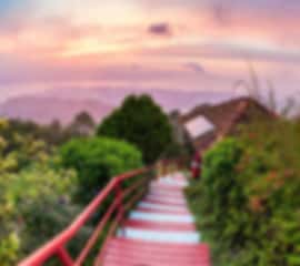 Penang City Walks & Nature Corners