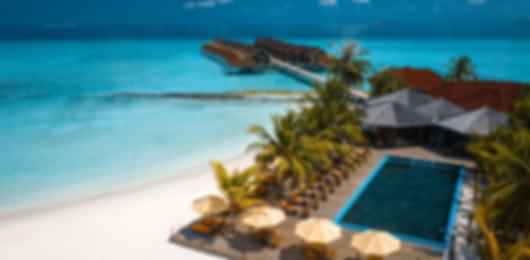 Secluded Paradise : Dhigufaru Island Resort