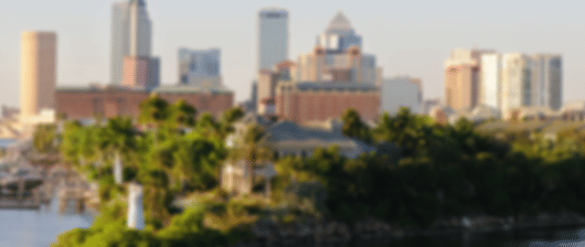 8 Days Miami & Orlando Honeymoon Tour Itinerary