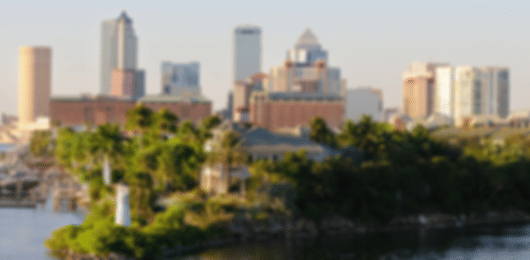8 Days Miami & Orlando Honeymoon Tour Itinerary