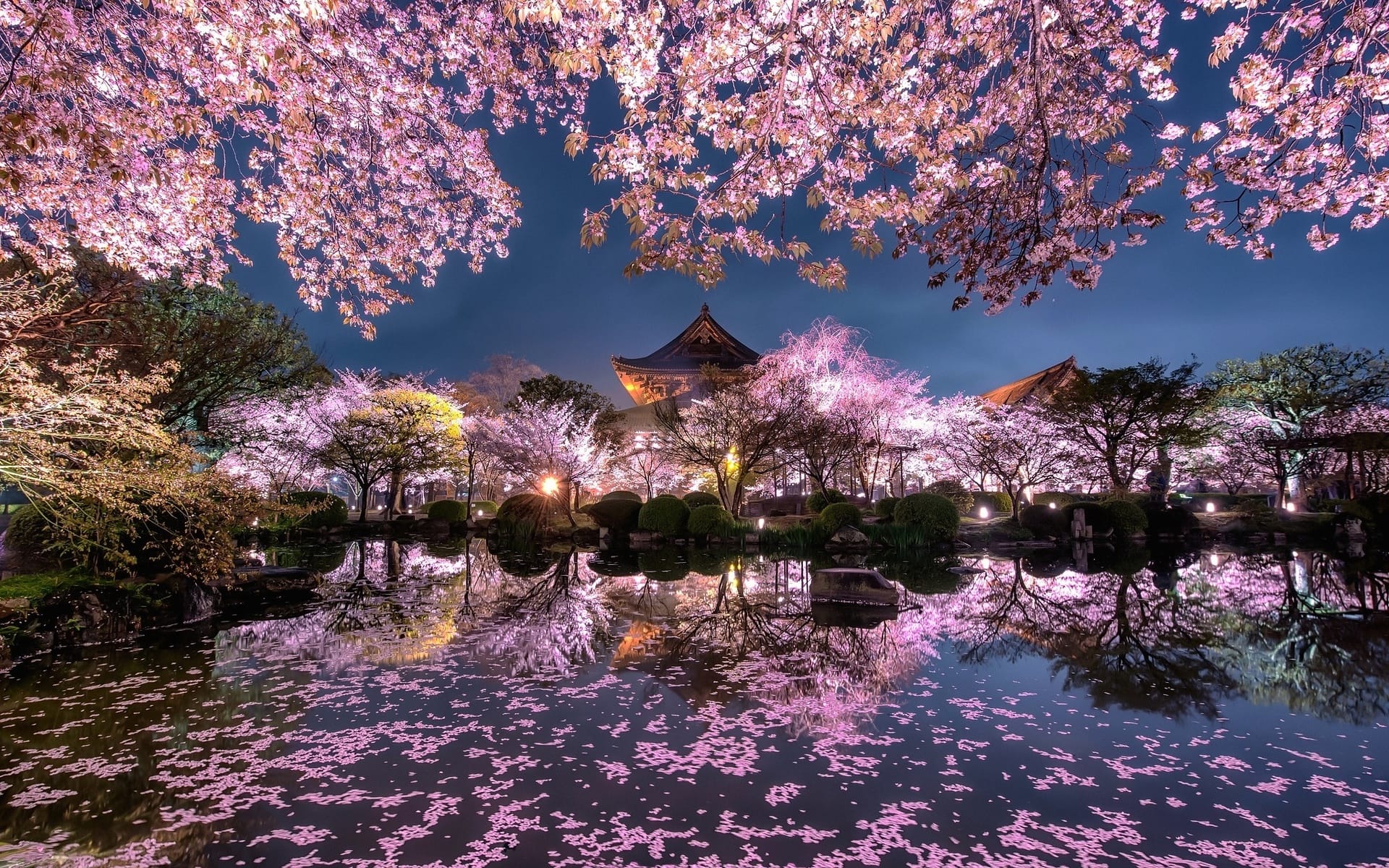 Cherry Blossom Timeless Trails – 8 Nights to Osaka, Kanazawa and Tokyo