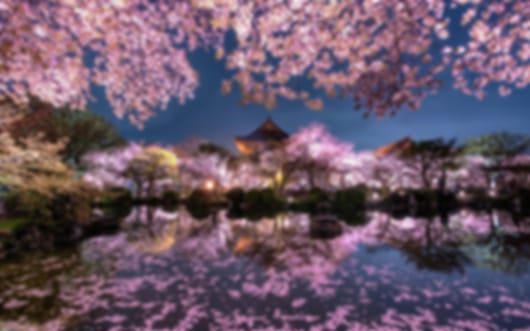 Cherry Blossom Timeless Trails – 8 Nights to Osaka, Kanazawa and Tokyo