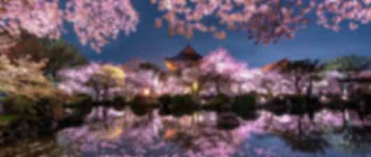 Cherry Blossom Timeless Trails – 8 Nights to Osaka, Kanazawa and Tokyo