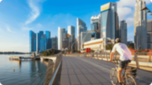 Singapore Grand Discovery Journey