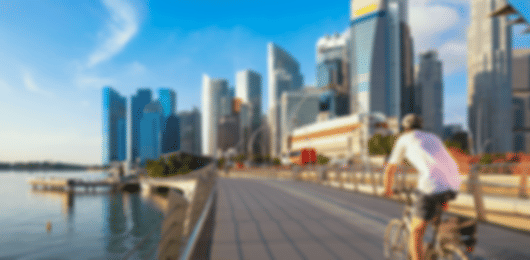 Singapore Grand Discovery Journey