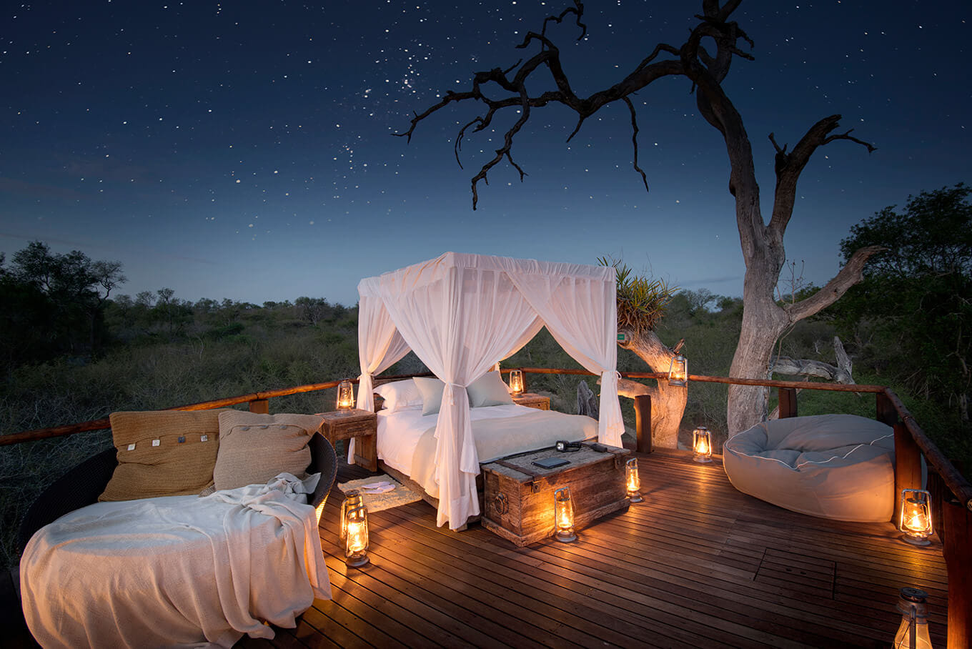 Romantic Safari-to-Shore Experience