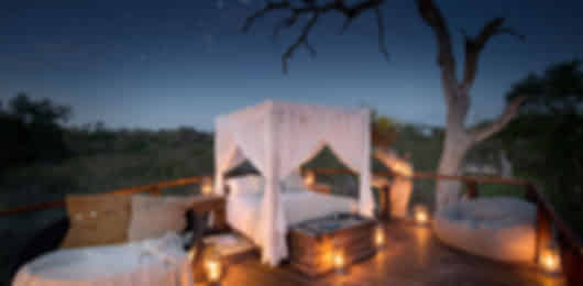 Romantic Safari-to-Shore Experience