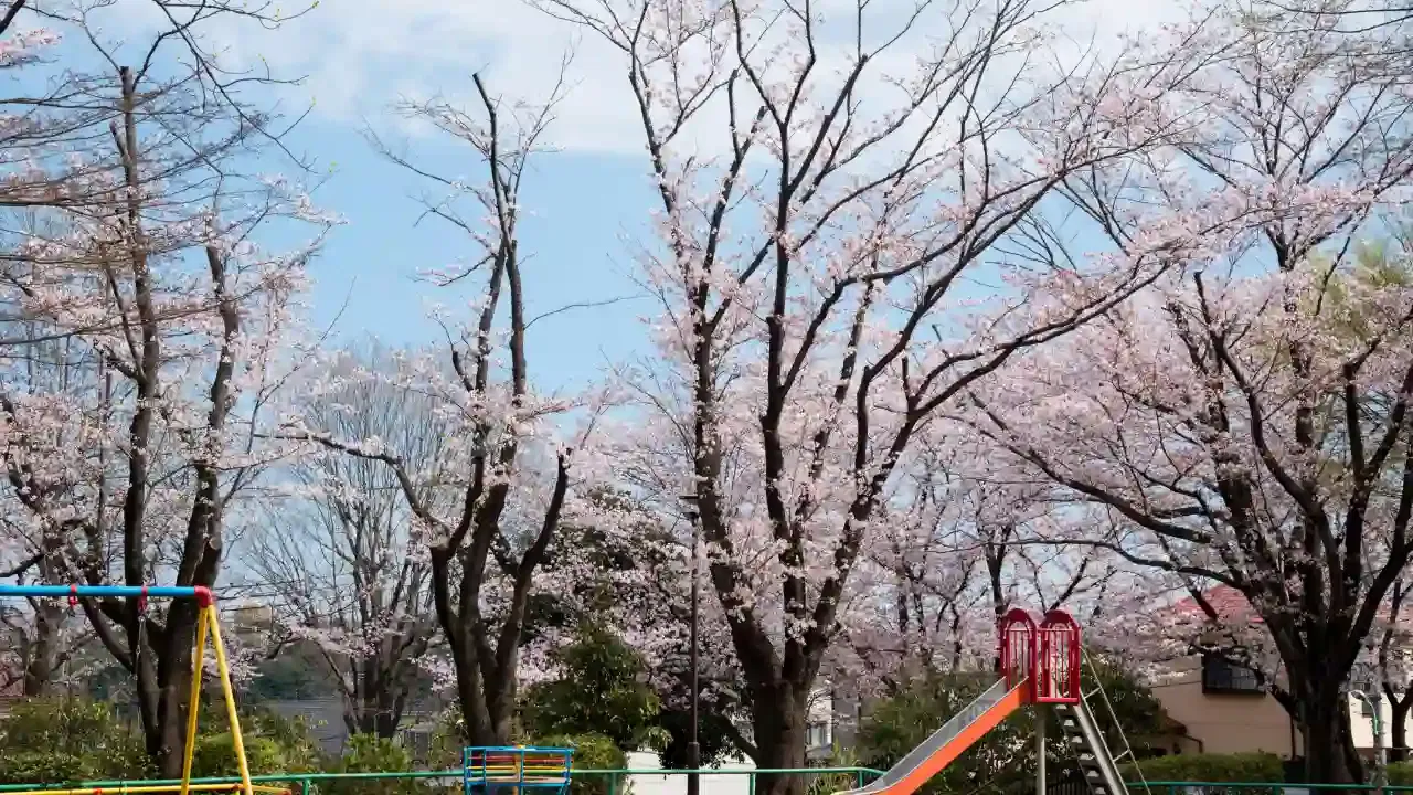 Japan 7 Nights 8 Days Luxury Scenic Train Route Itinerary