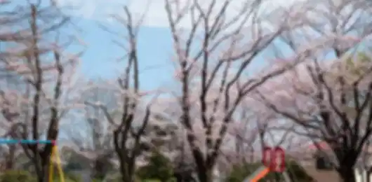 Japan 7 Nights 8 Days Luxury Scenic Train Route Itinerary