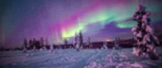 Experience Northern Lights and Fjords in Norway
