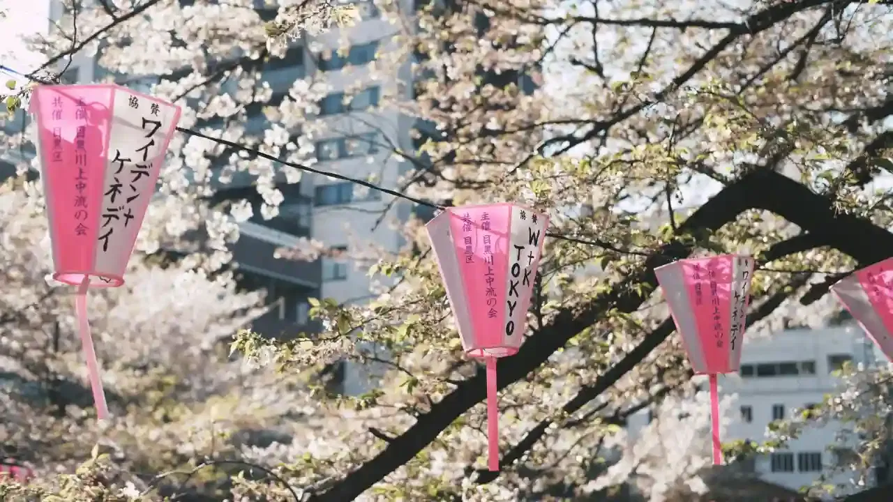 Japan 14 Nights 15 Days Family Itinerary