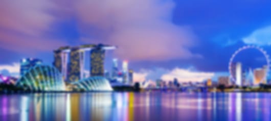 Singapore Signature Experience