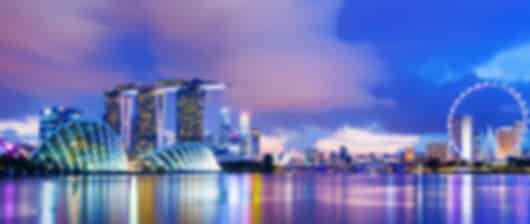 Singapore Signature Experience