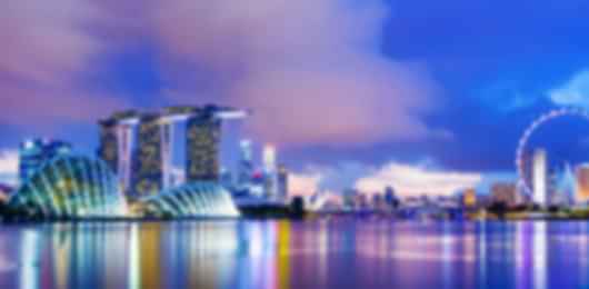 Singapore Signature Experience