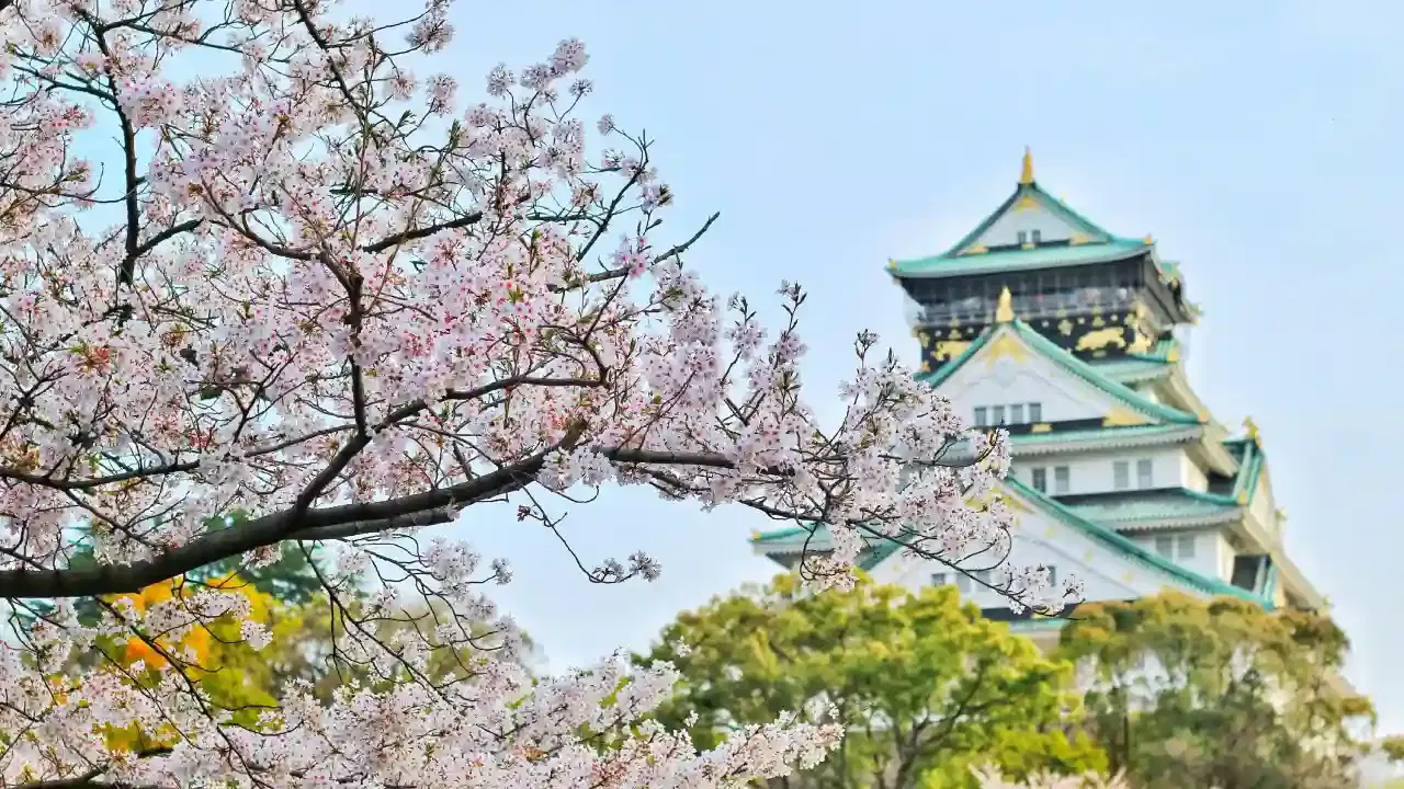 Osaka 7 Nights 8 Days Adventure Itinerary