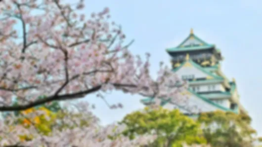 Osaka 7 Nights 8 Days Adventure Itinerary