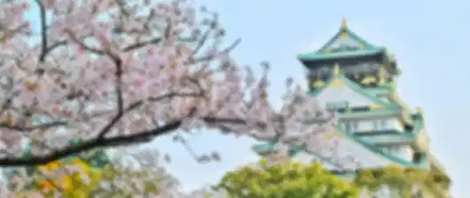 Osaka 7 Nights 8 Days Adventure Itinerary