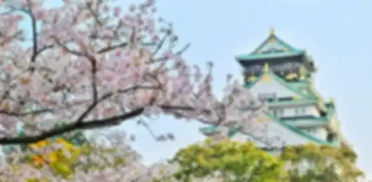 Osaka 7 Nights 8 Days Adventure Itinerary