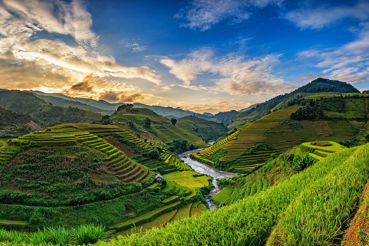 BannerImage