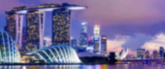 Singapore Beyond the Skyline Discovery