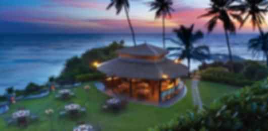 Sri Lanka Packages for 3 Nights: Nuwara Eliya & Bentota