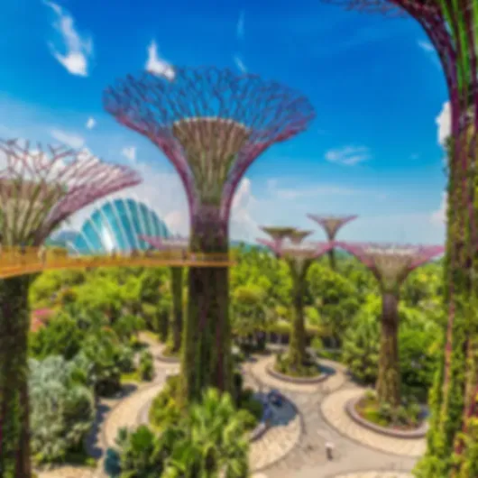 4N Singapore Wonders @50k per person