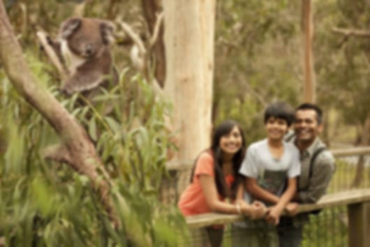 East Meets West: 7 Nights Exploring Melbourne & Perth