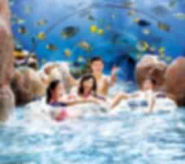 Singapore Adventure Days Starlit Nights