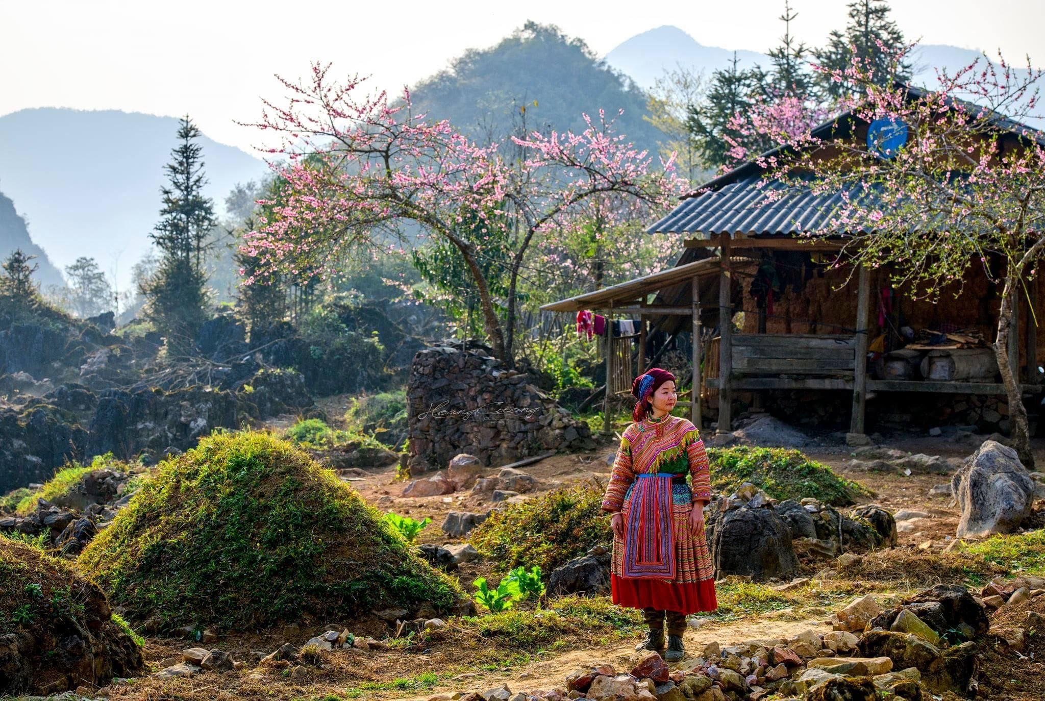 Luxury Vietnam Coastal Escape – Phu Quoc & Da Nang