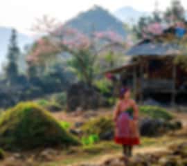 Luxury Vietnam Coastal Escape – Phu Quoc & Da Nang