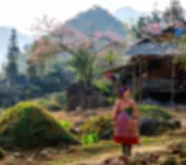 Luxury Vietnam Coastal Escape – Phu Quoc & Da Nang