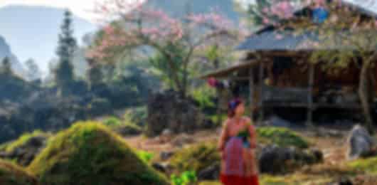 Luxury Vietnam Coastal Escape – Phu Quoc & Da Nang