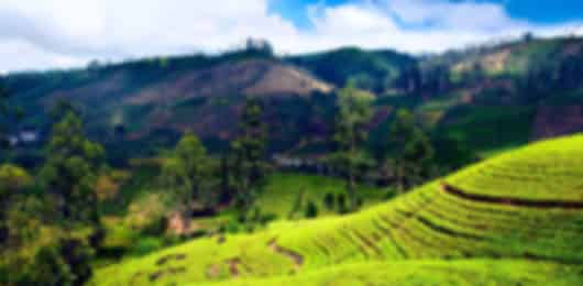 5 Nights Kandy, Nuwara Eliya & Colombo - Cultural Icons and Hill Country Trail