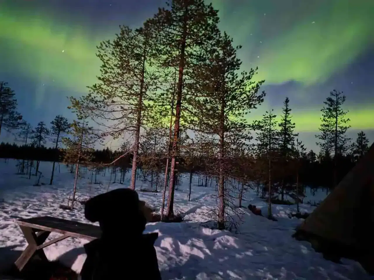 Finnish Lapland & Kakslauttanen Discovery