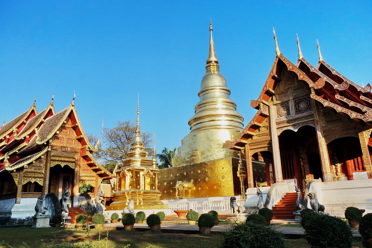Chiang Mai and Bangkok 5 Days of Temples, Nature, and Wildlife Adventures
