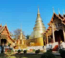 Chiang Mai and Bangkok 5 Days of Temples, Nature, and Wildlife Adventures