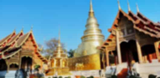 Chiang Mai and Bangkok 5 Days of Temples, Nature, and Wildlife Adventures