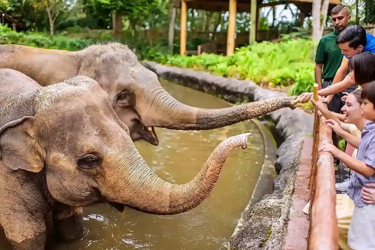 Singapore Luxe Escape with Mandai Wildlife Reserve