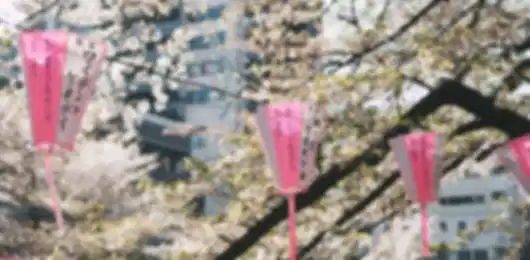 Japan 14 Nights 15 Days Family Itinerary