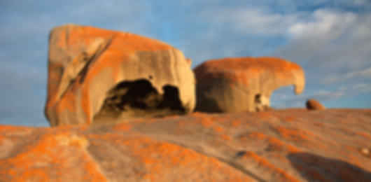 Enjoy the scenic and wild-side of Australia with family fantastic