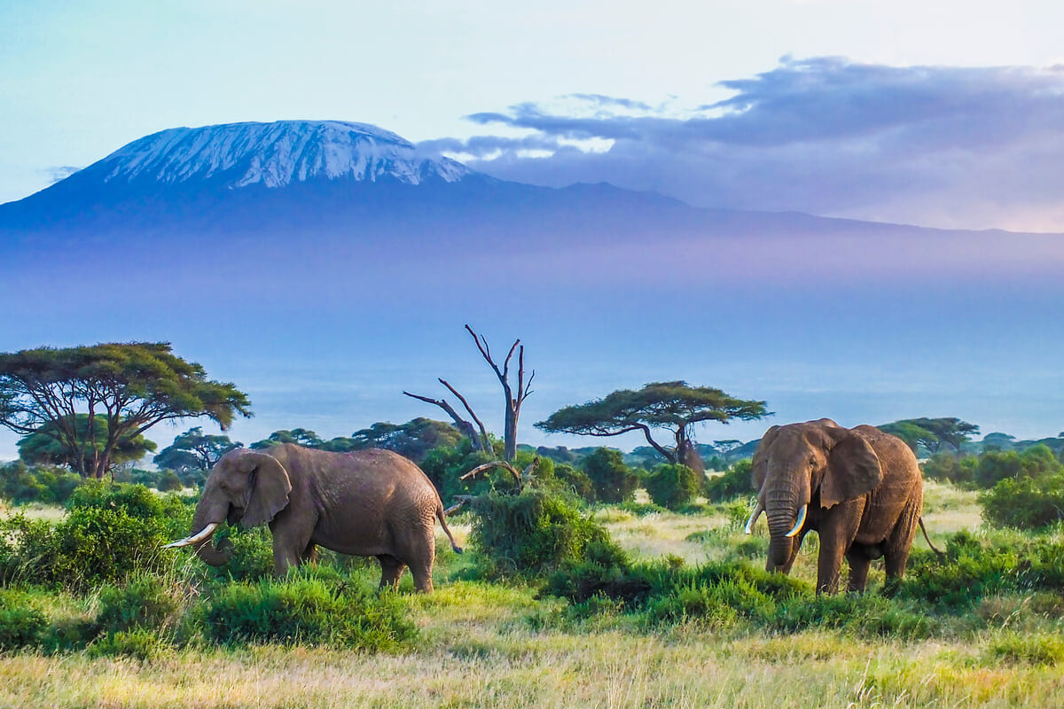 Tanzania Safari Escape: Arusha, Tarangire & Karatu