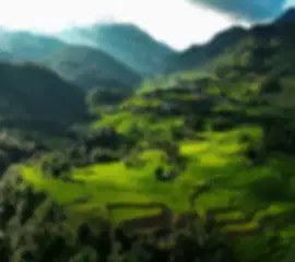 Danang 3-Night City Break – Beach & City Escape